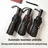 10-bone double-layer automatic umbrella Amazon hot-selling windproof umbrella for men and women folding plain umbrella