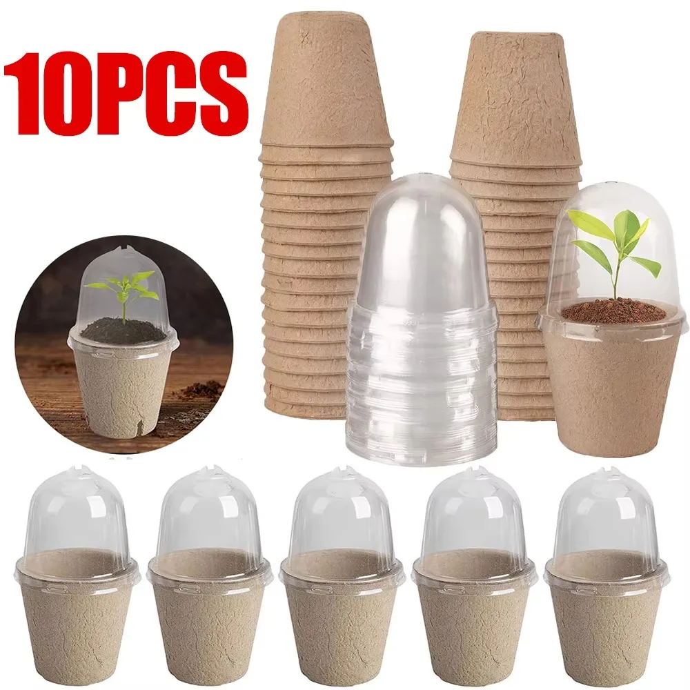 10pcs Transparent Lid Round Peat Pots Biodegradable Eco-friendly Seedling Starters Cups Planting Tools Fibre Paper Nursery Pots