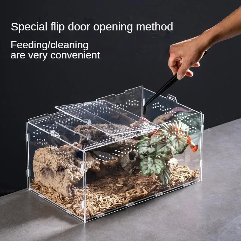 Reptile Feeding Box Acrylic Display Receptacle 95% High Light Transmission Tarantula Enclosure Scorpion Bearded Dragon Habitat