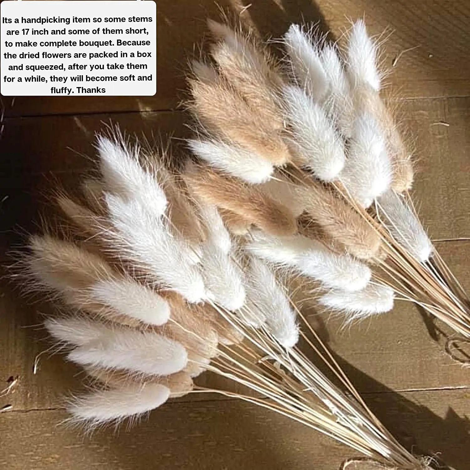 60Pcs Mix Lagurus Bunny Tails Pampas Grass Decor Home Cake Decor Rabbit Tails Dried Flowers Bouquet for Boho Table Decoration