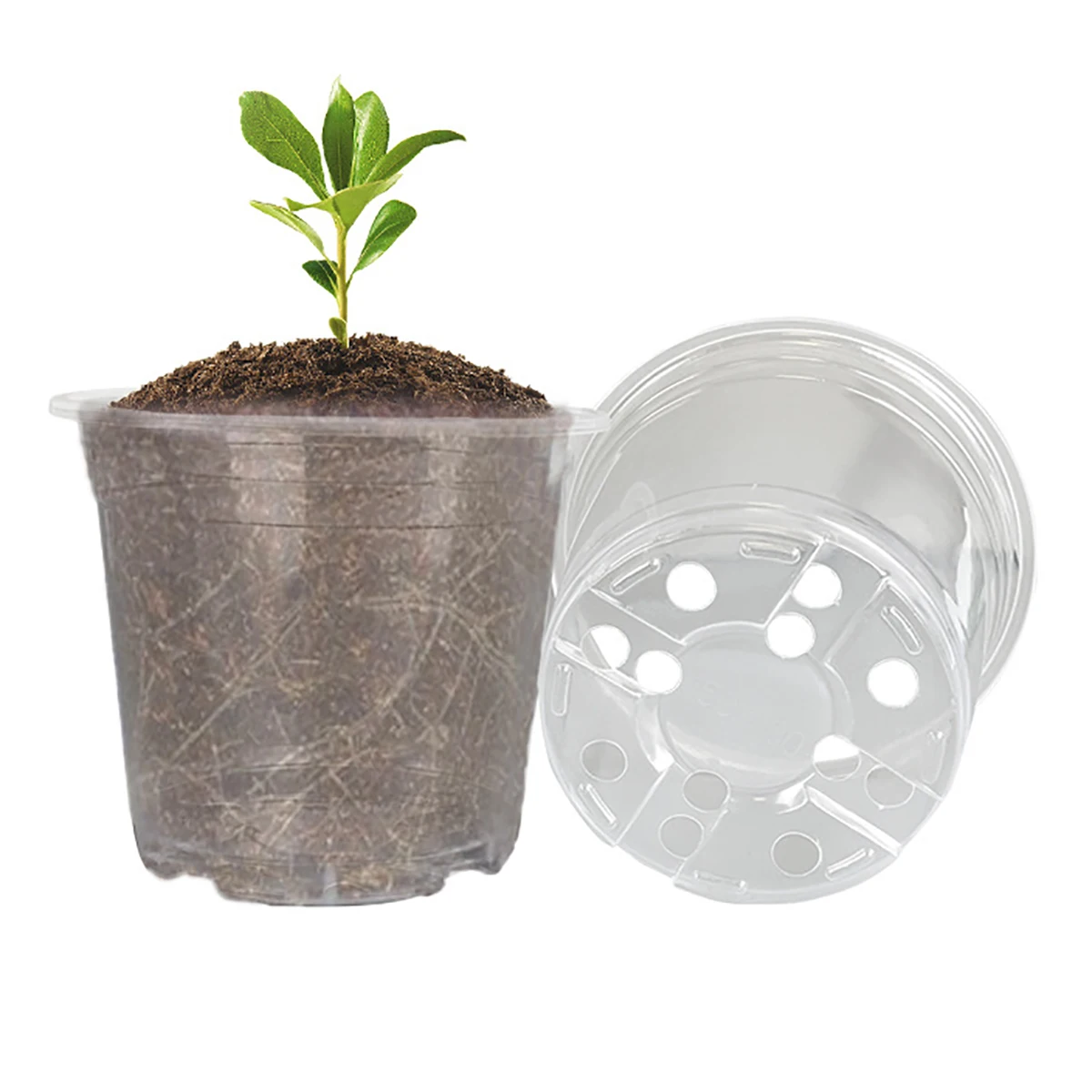 5Pcs 6/7.6/10/13/15cm Clear Round Pot Cultivation Flower Pots Orchid Nursery Planting Breathable Planter Raising Seedling Cup