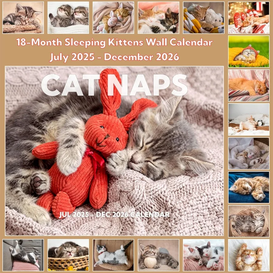 20252026 تقويم Cat ps التقويم 20252026 جدار. يوليو 2025 ديسمبر 2026 11 "× 17" مفتوح 18 شهرًا نائمة القطط تقويم الحائط غير القواعد #1