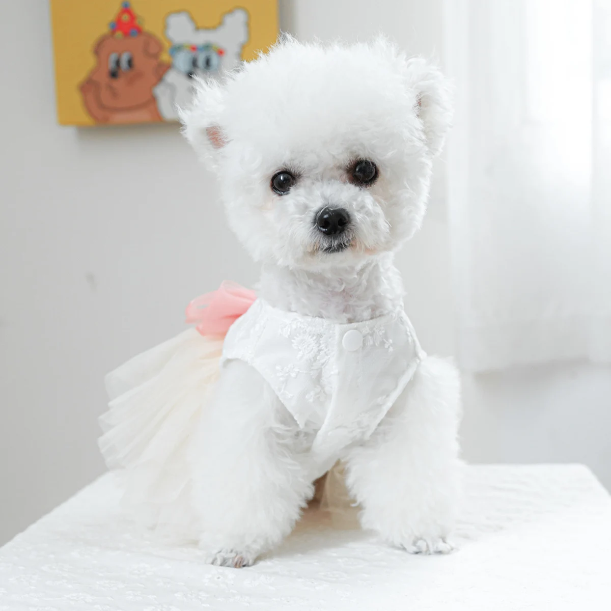 1PC Pet Clothing Cat Spring/Summer Thin White Micro Wedding Dress Princess Dress Suitable for Small and Medium Dogs