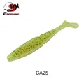 CA25
