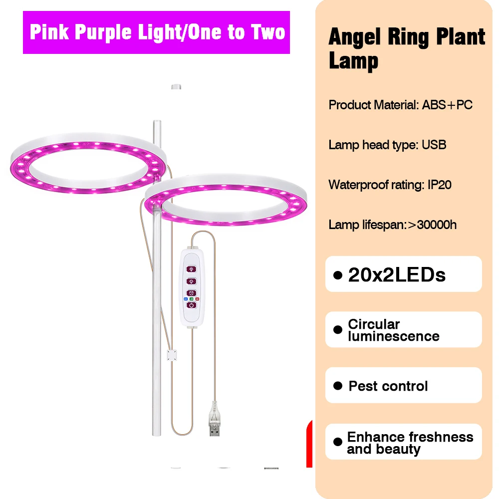 Pink Light 2 head