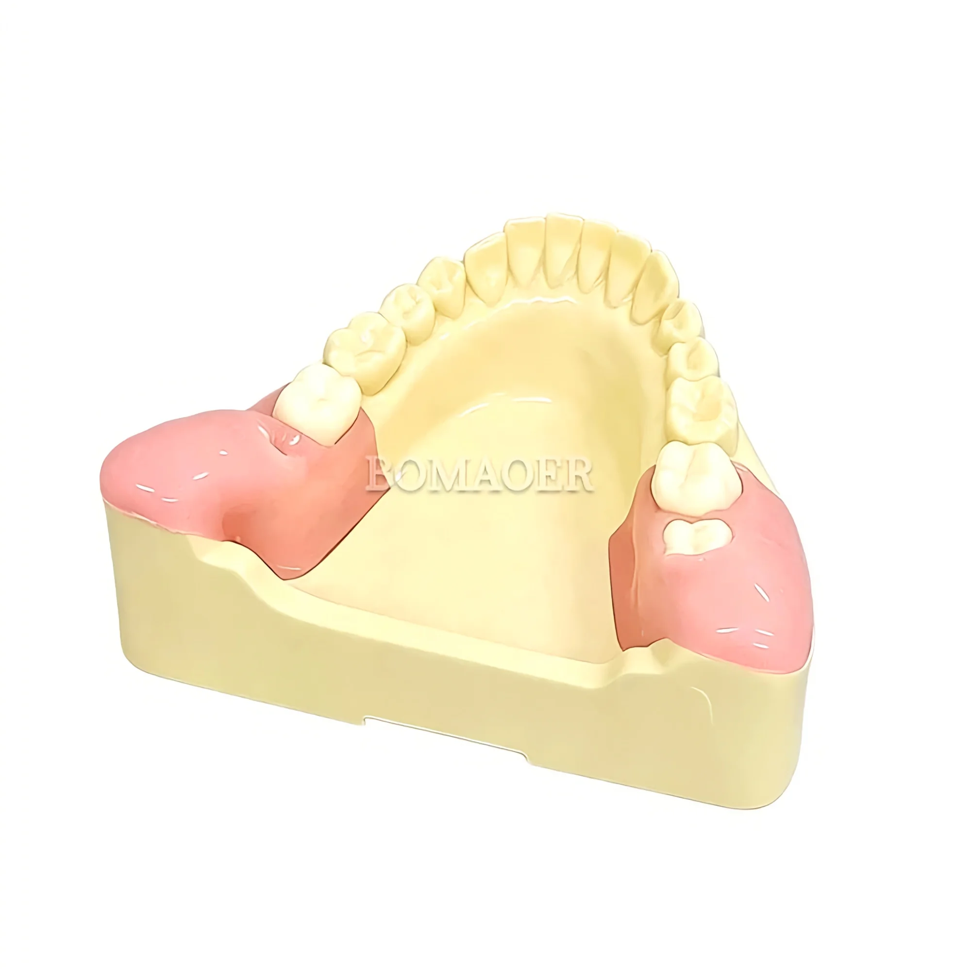 Student Practice M8026 Wisdom Tooth Extraction Model Dental Implant Teaching Model Replacement Impacted Teeth Dentist Training