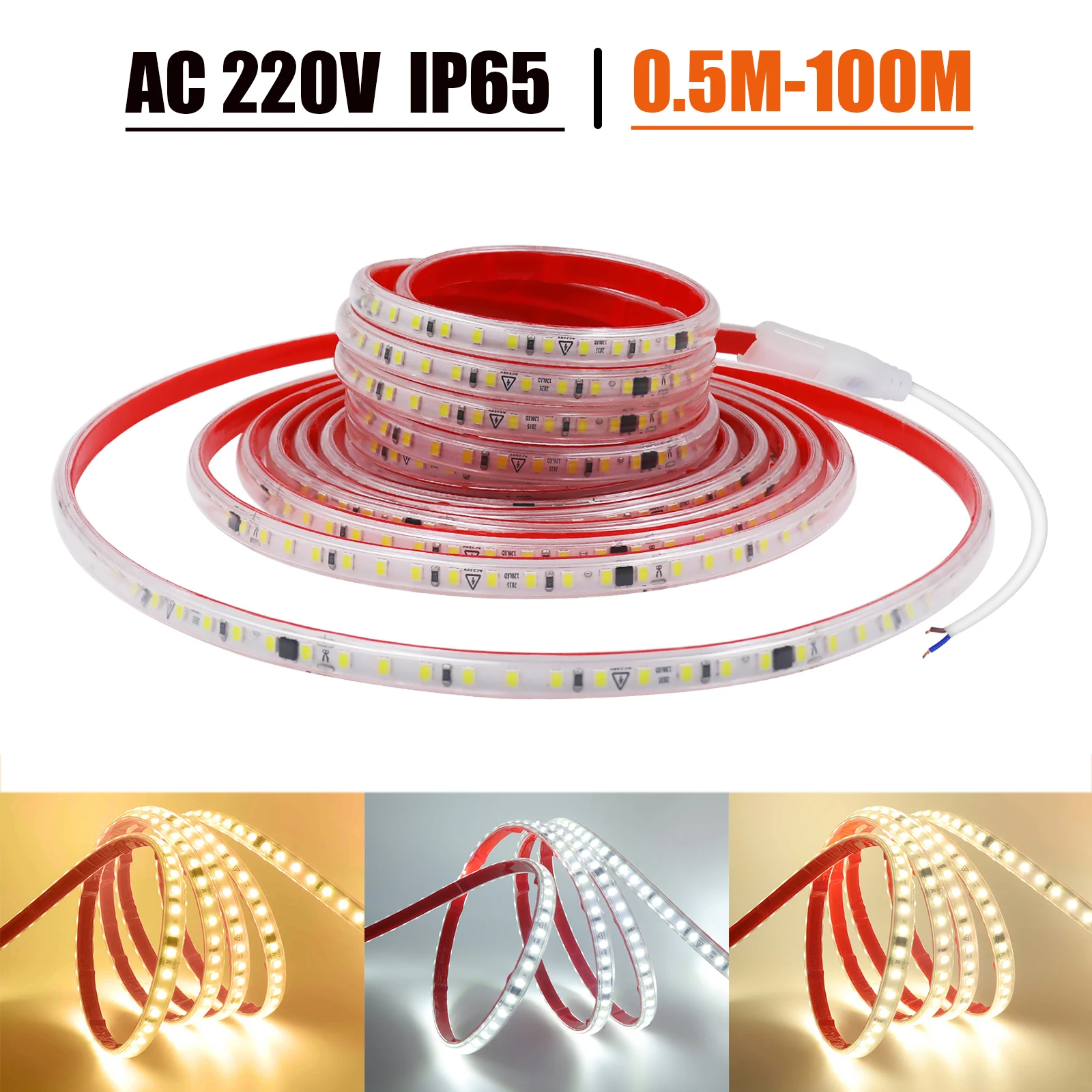 AC 220V LED Strip 120Leds/M IP65 Waterproof Driver Build In 3000K 4000K 6000K Home Decor Flexible Ribbon Rope Tape LED Light