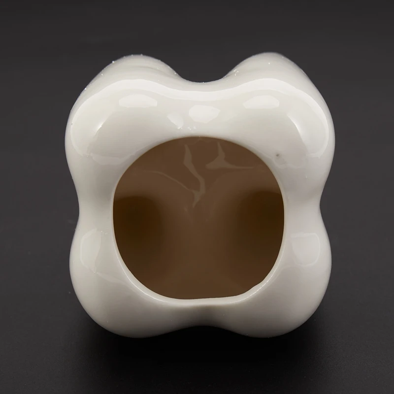 Tooth Shape White Ceramic Flower Pot Modern Design Planter Teeth Model Mini Desktop Pot Creative Gift(Without Plants)