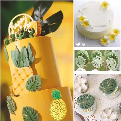 10 best sales fågelmögel - №10