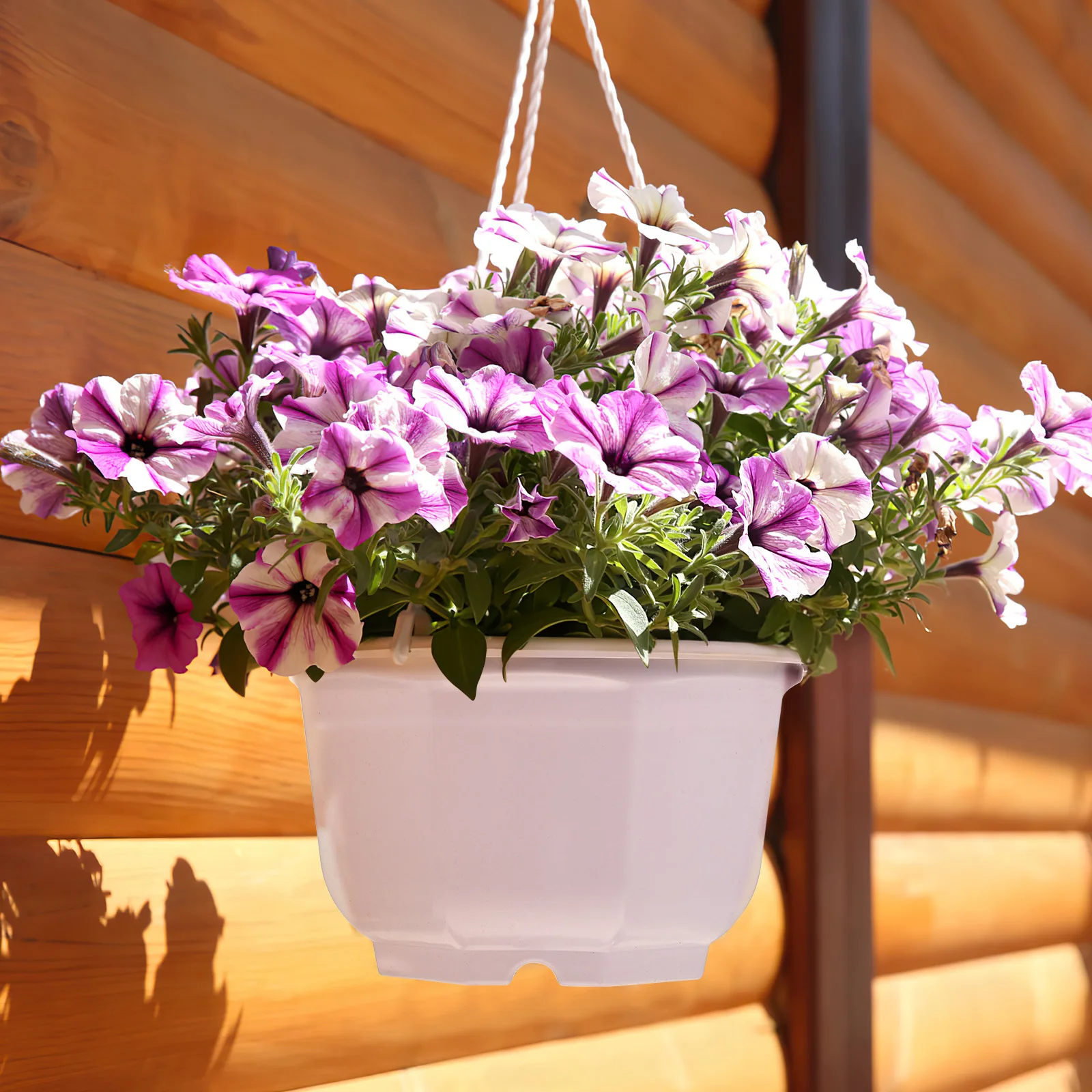 

10Pcs Hanging Flower Pots Durable Plastic Planters for Indoor Outdoor Balcony Garden Plant Holders Hanging Flower Pots