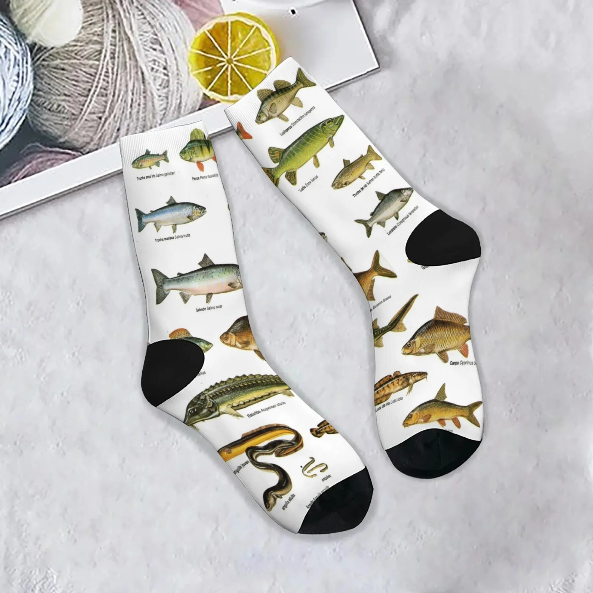 1 組のメンズソックス 面白い魚柄 新鮮で明るい ファッショナブルで快適なオールシーズン対応のノベルティソックス ギフト