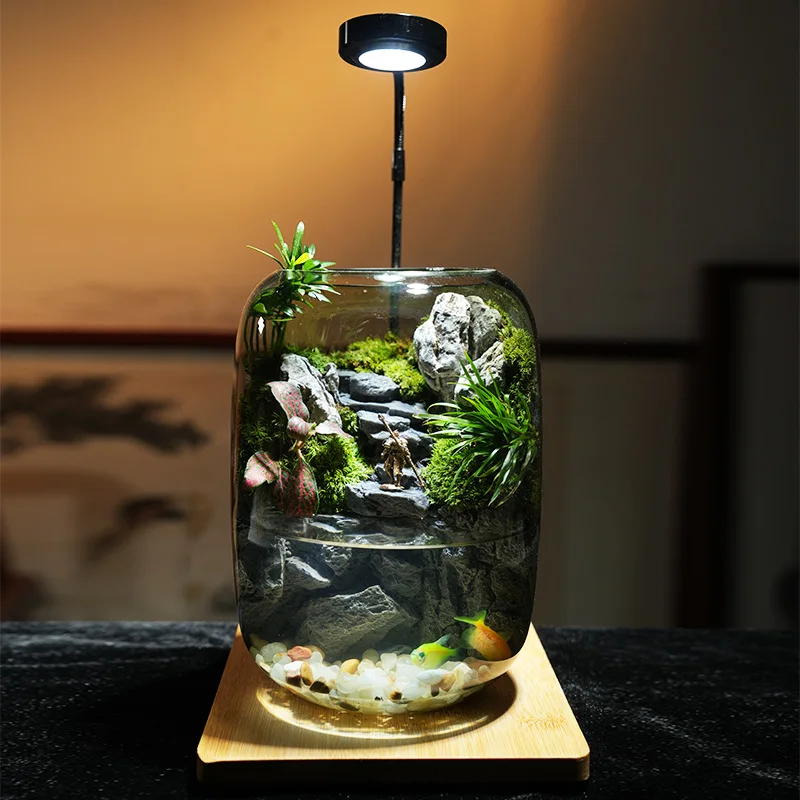 Stone cliff flowing water fish tank real plant moss micro landscape ecological bottle ornament