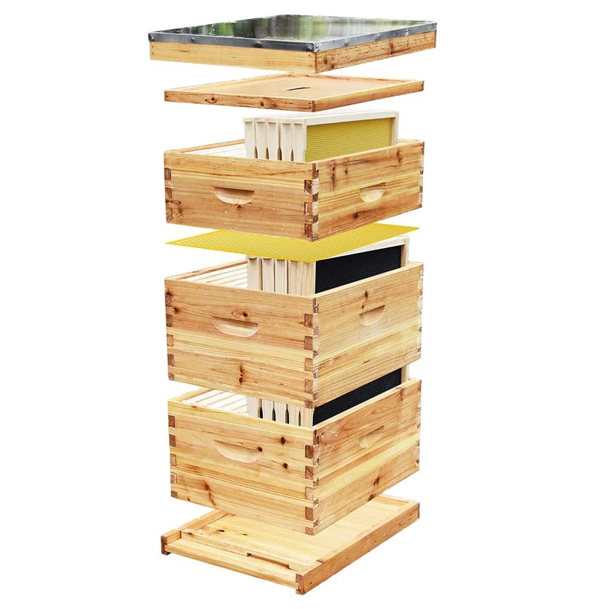 10-Frame Langstroth Bee Hive Coated with Beeswax Includes Beehive Frames and Foundations Beekeeping Starter Kit