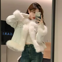 2023 Autumn Winter New Imitation Fox Fur Coat Thickened Warm Women Short Outwear Temperament Polo Collar Outcoat Casual Top