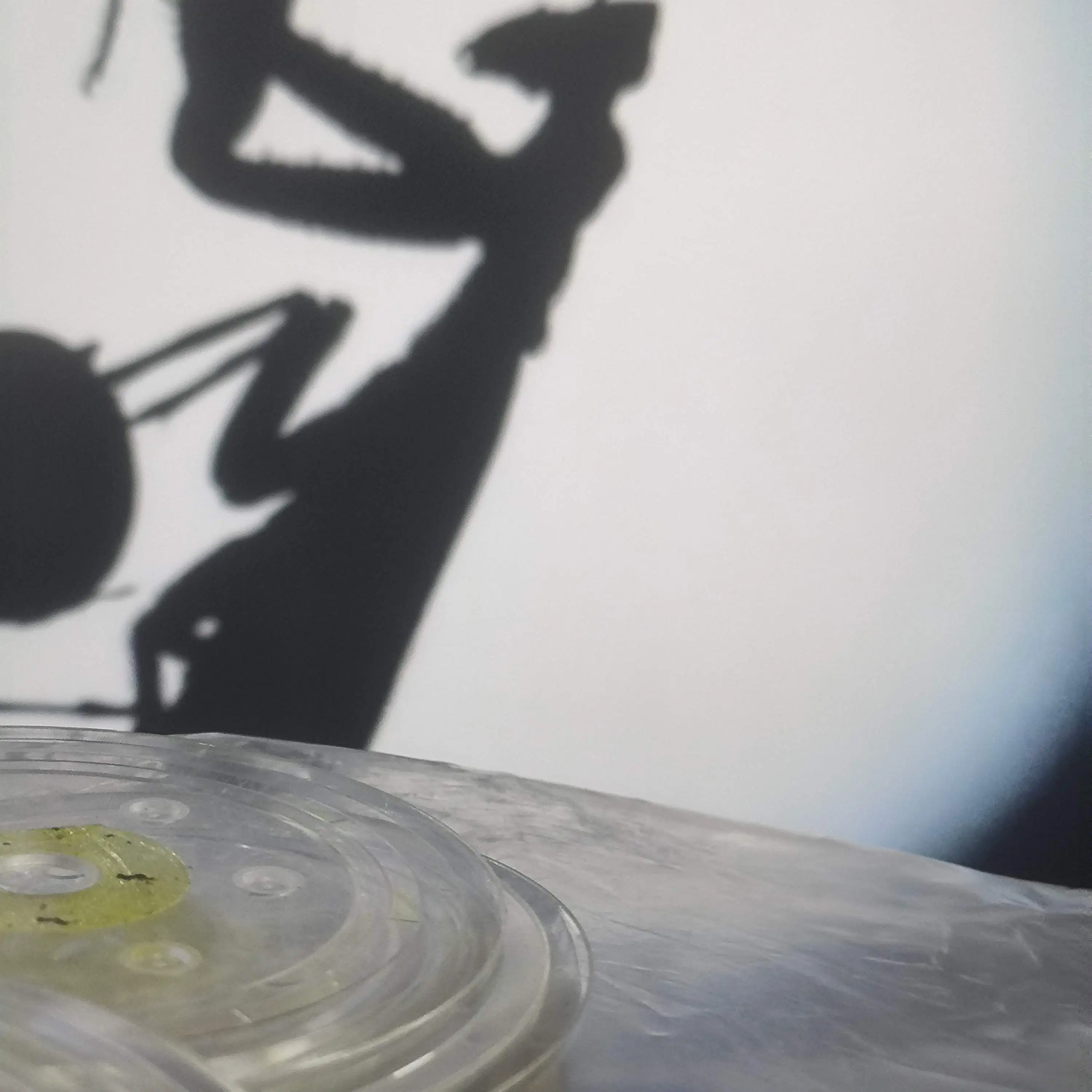 

10X 1571785 Диск ГРМ кодера для EPSON L1110 L3110 L3115 L3116 L3150 L3156 L5190 M1100 M1120