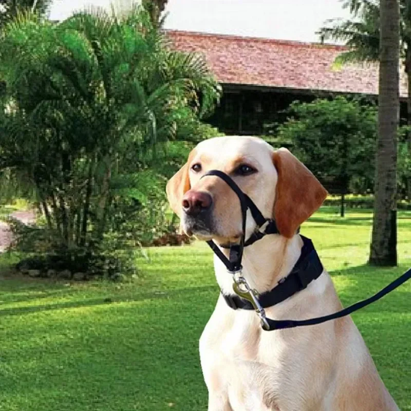 Comfortable, Adjustable, and Secure Anti-Bite Nylon Dog Muzzle with Training and Safety Leash Loop - Ensure Peaceful Walks with 