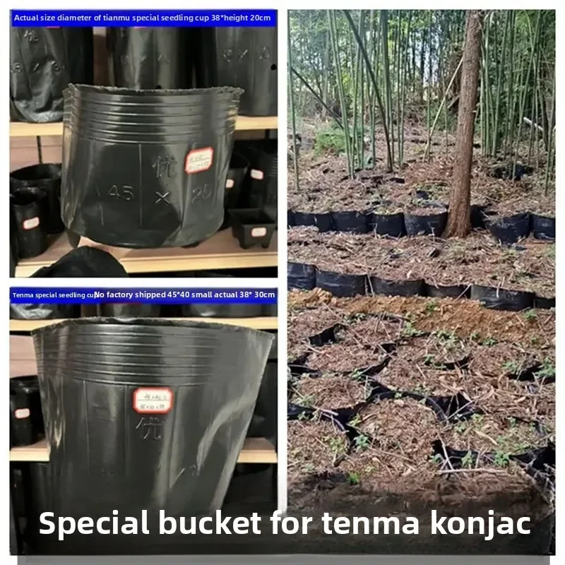 

Black nutrition bowl thickened large plastic potted seedling special flower pot planting bag