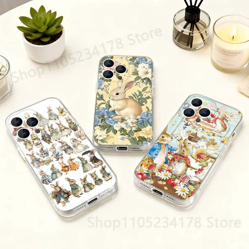 

P-Peter Bunny RabbitS Phone Case For iPhone 17,16,15,14,13,12,11 Pro,Max,Plus,X,XS,XR,SE4,E Mini Clear Cover