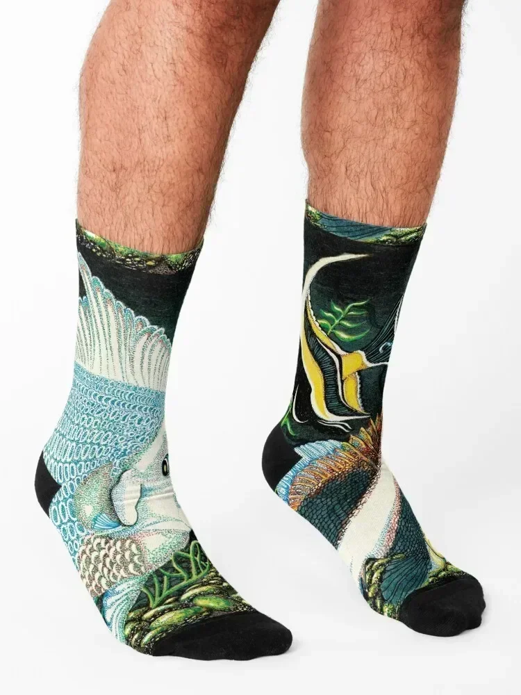 Tropical Fish Socks valentine gift ideas hip hop luxe hockey Socks Woman Men's