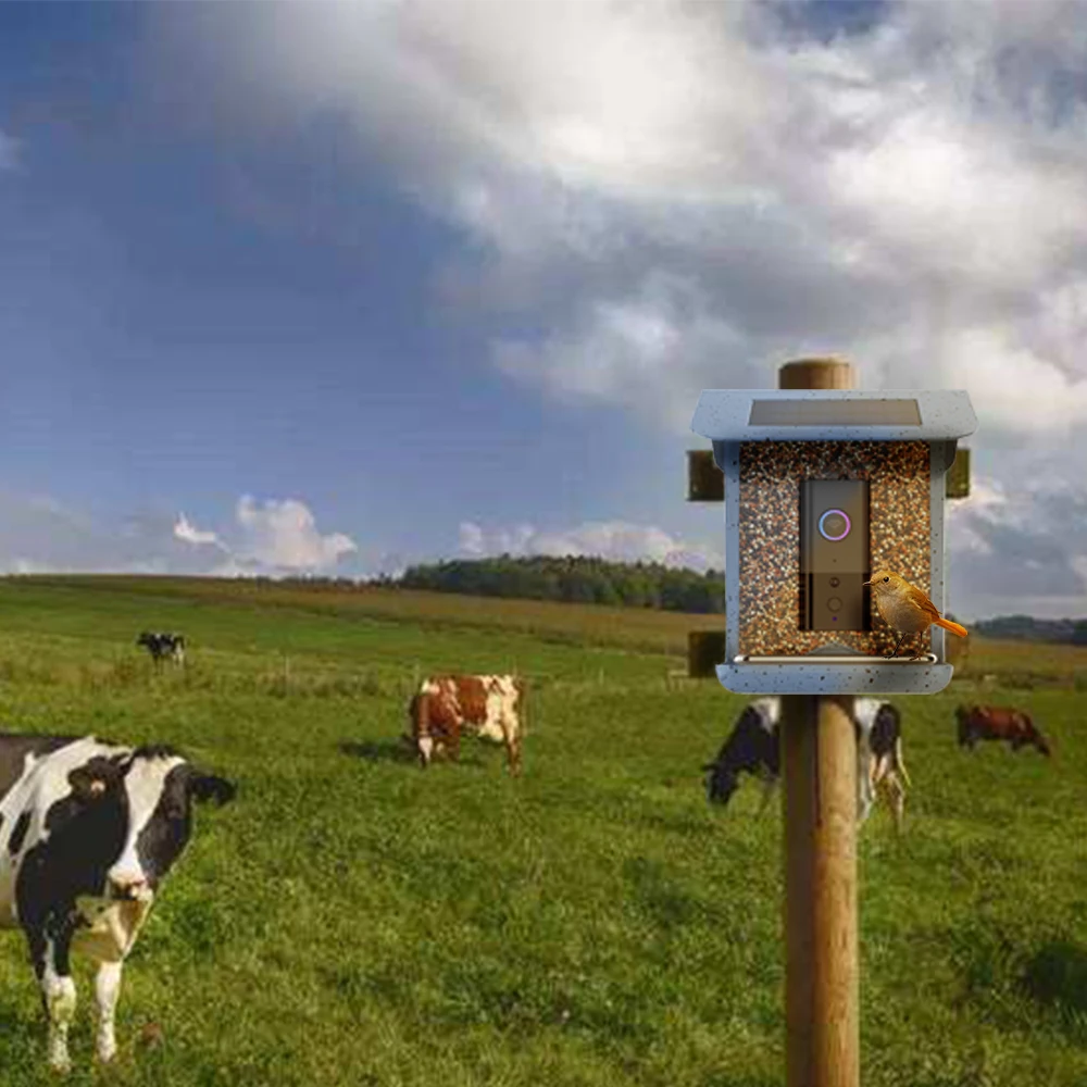 Smart Bird Feeder With APP Control By Mobile Phone With Camera