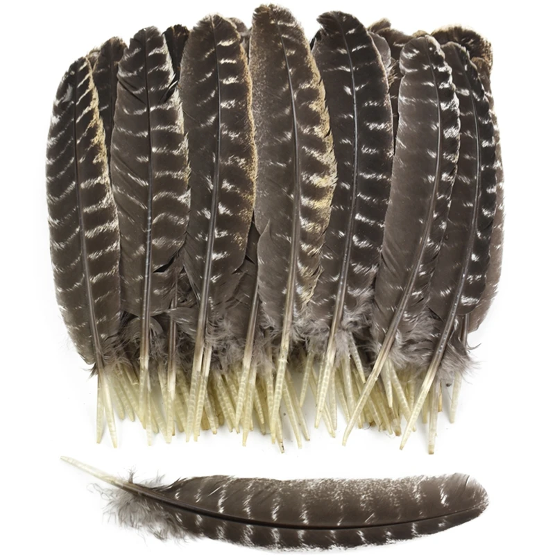 

10Pcs Real Natural Turkey Feather Eagle Bird Feathers for Crafts Hats Birds Plumes Decor Carnaval Accessories Cintas Decorativas