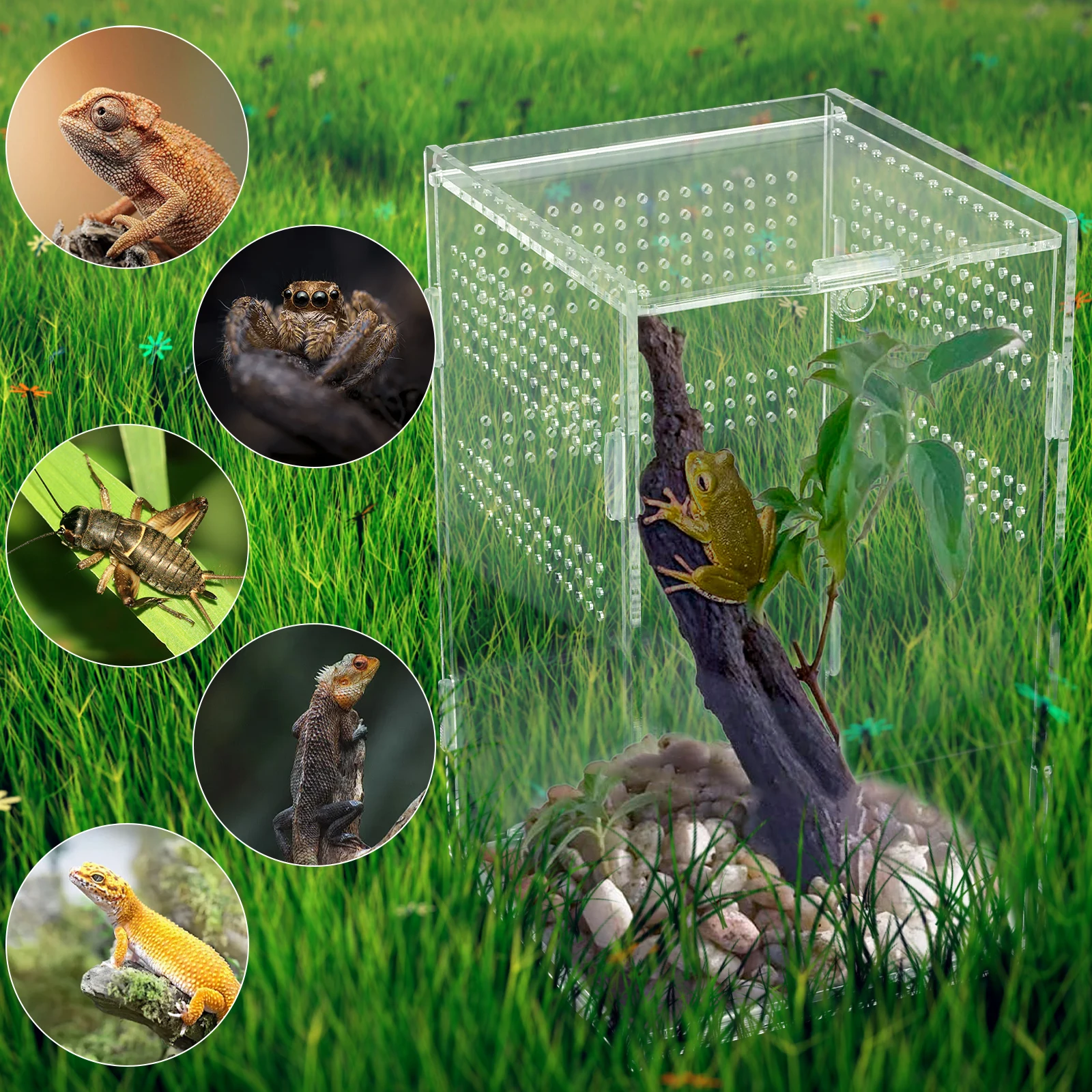 Reptile Habitat Terrarium Breeding Box Acrylic Case Terrarium Enclosure Acranged Transparent Climbing Pet Feeding Boxes Spider