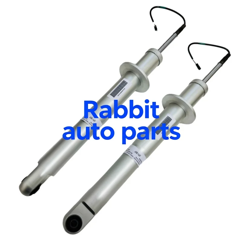 OEM 226147 226149 Voor/Achter Schokdemper Voor Maserati Quattroporte M139 S Gt GTS 248255, 226147, 220915, 248253,