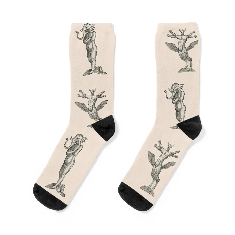 

Medieval Demons & Creatures Socks Crossfit winter gifts sports stockings Socks Man Women's