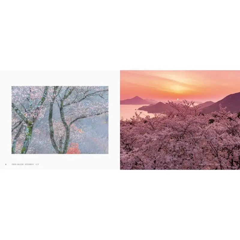 Beautiful Fantasy Scenery Of Japan Japan Landscape Photographers Association Pai International 9784756252654 Book