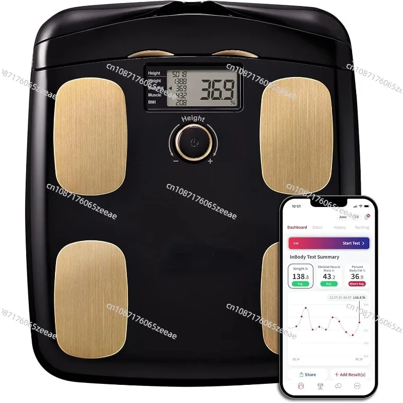 Dial H20 Body Fat Scale - Scale for Body Weight Fat Percentage and Muscle Mass - Gym Accessory for Men Women