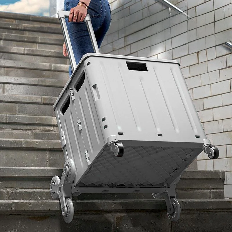 chariot-de-camping-portable-leger-pliable-avec-poignee-en-acier-inoxydable-pour-le-rangement-et-le-transport-de-legumes
