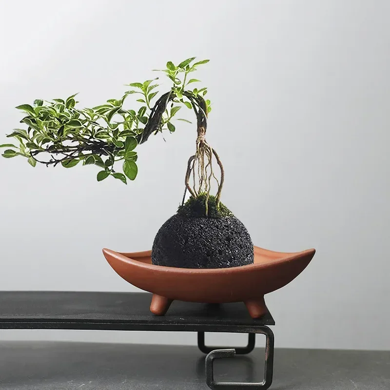 Ceramic Flower Pots for Bamboo Indoor Micro Landscape Plants Purple Clay Pot Decoration
