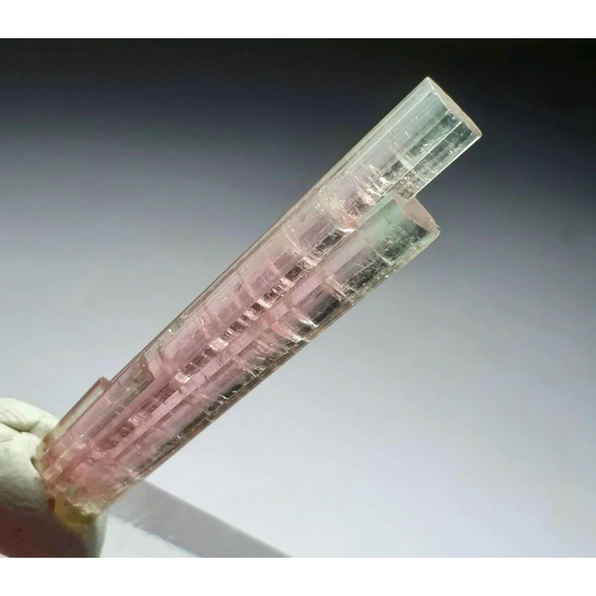 Brazilian Elbaite Rough Crystal Assortment, 10g 5-15mm Random Colors, Display Box for Shelf Decor & Educational Specimens