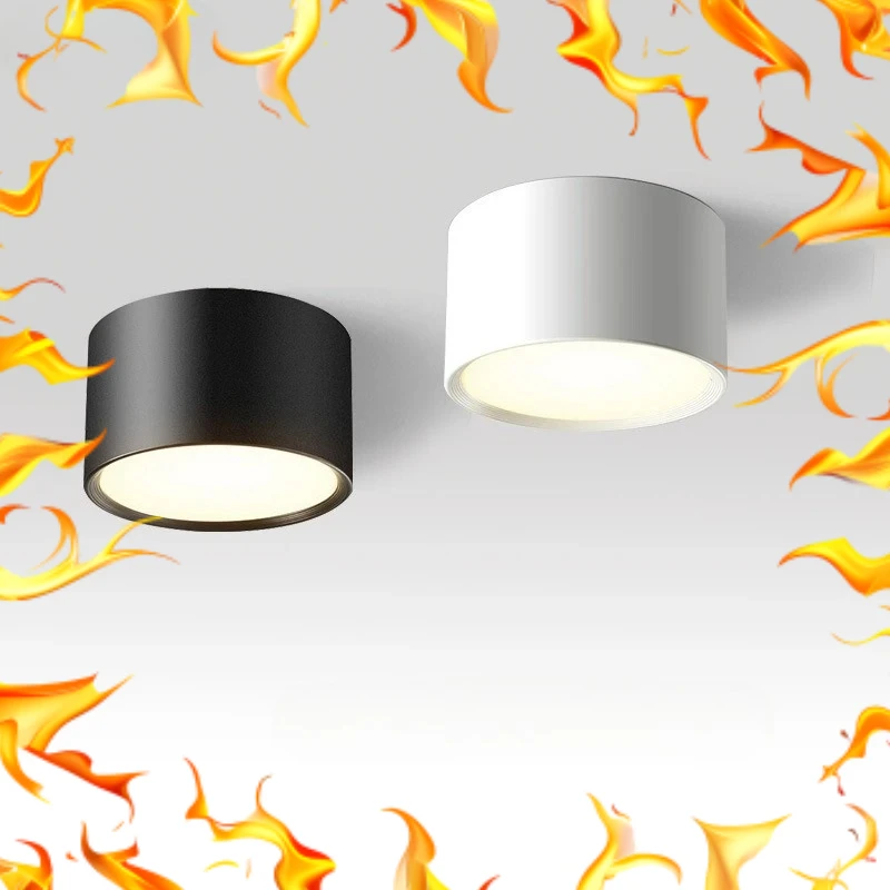 

Small Surface Mounted Ceiling Lamp LED Downlight for Living Room Bedroom Kitchen Corridor Down Lights