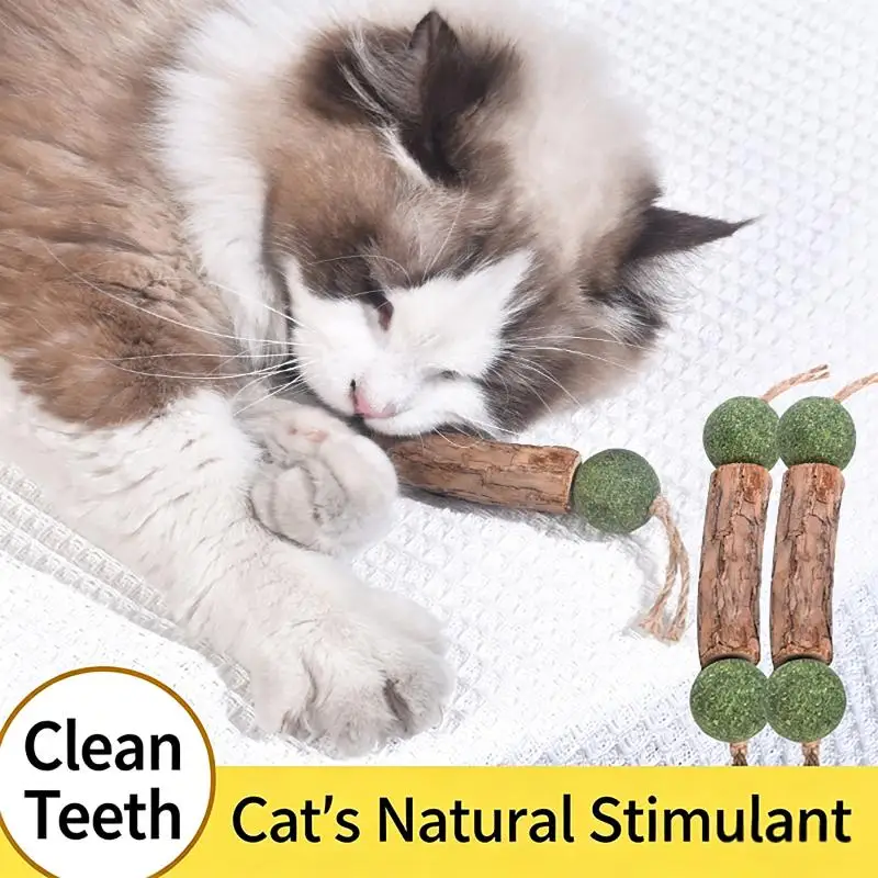 3Pcs Cat Cleaning Teeth Pure Natural Catnip Cat Molar Toothpaste Stick Cat Snack Stick Toys