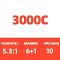 3000C
