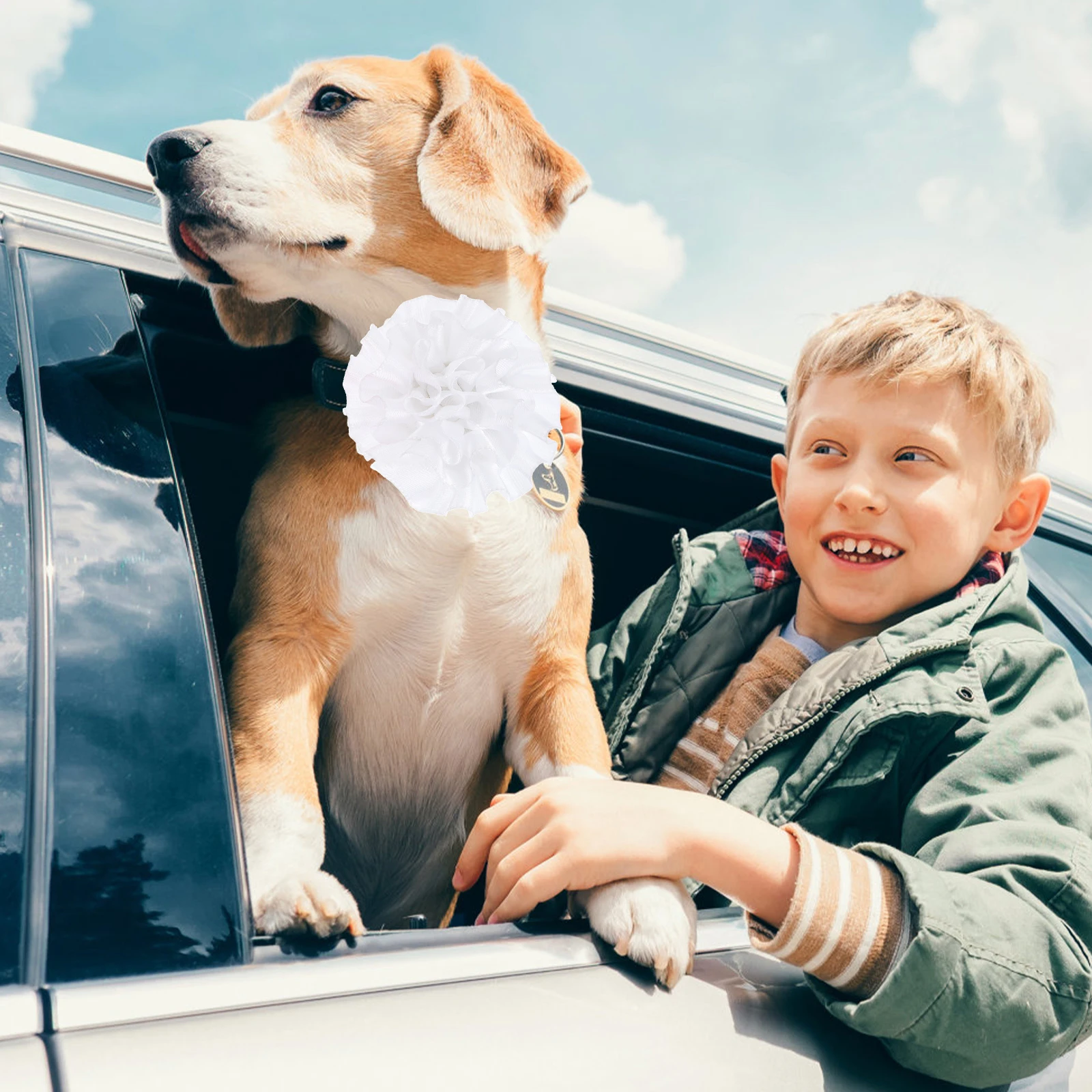 

10Pcs Pet Collar Flower Decor for Cats Dogs Cute Bowtie Accessories Lovely Grooming Ties Ideal for Parties Weddings Christmas