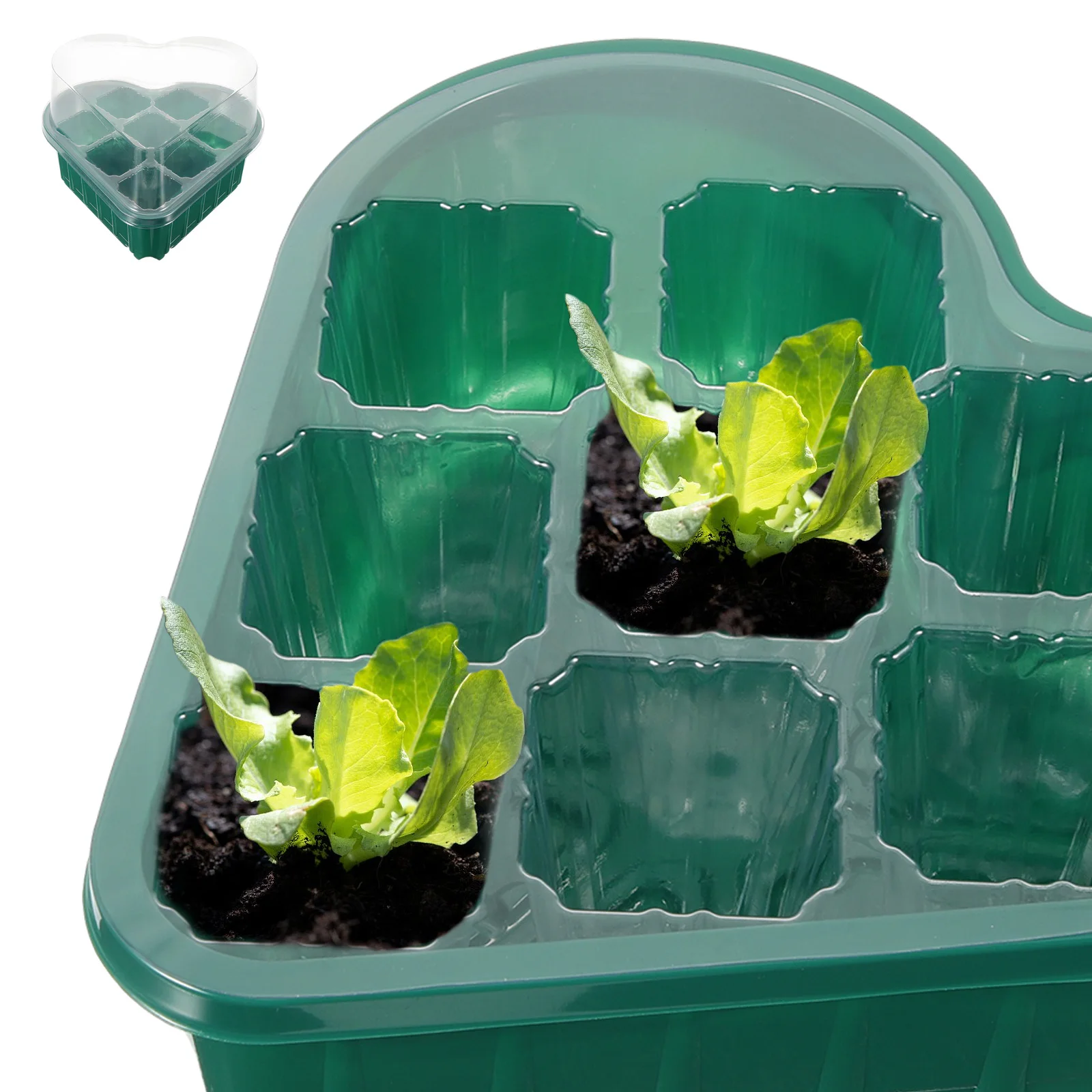 

2 Sets Heart Shape Seedling Tray Kits 8 Holes Plant Starter Cups Germination Trays for Micro Vegetable Growing Small
