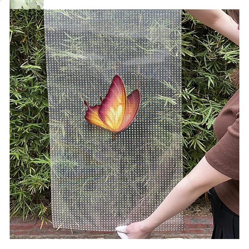 Indoor P6 Led Film …