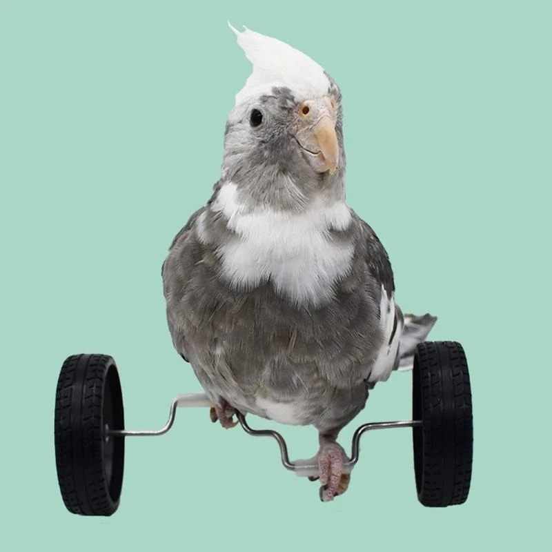  Small Birds Rotary-Wheel Balancing Bike Toy Parakeets Sports Training Toy