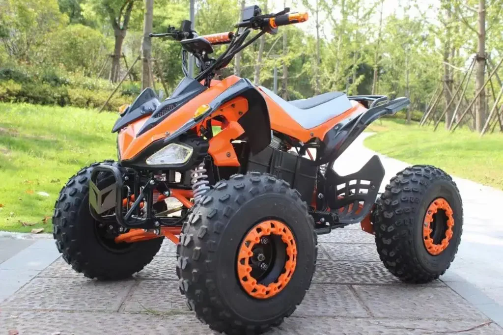 2WD Automatic Shaft Drive Cheap E- ATV Quad Bike 60v 20A 1000W Beach Buggy For Sale With Electric Start ATV