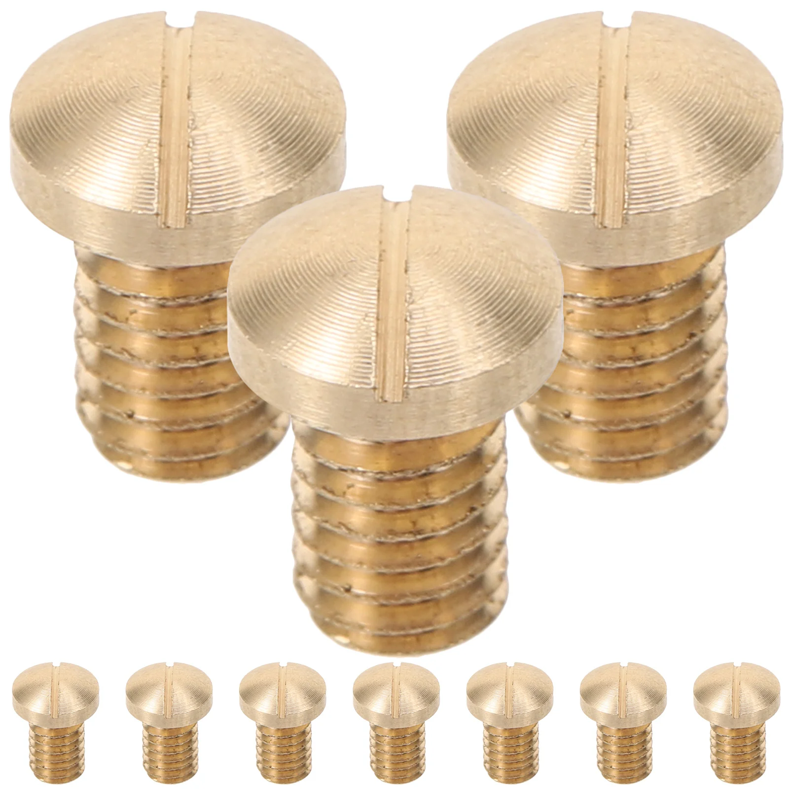 

10 Pcs Saxophone Accessories Tenor Reeds Alto Cleaning Kit Parts Woodwind Instrument Screws