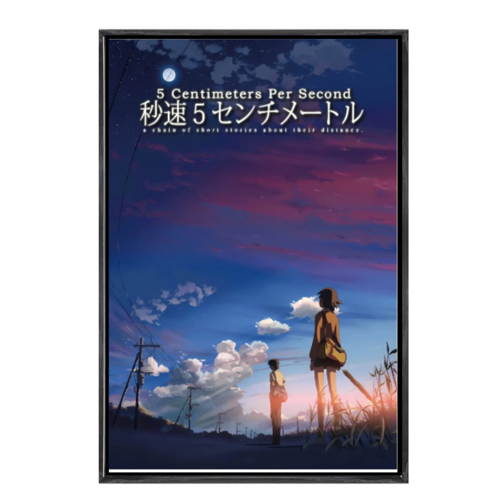 

Japanese Manga Multi-Size Canvas Poster Double Framed Wall Art, 5 Centimeters Per Second Home Decor