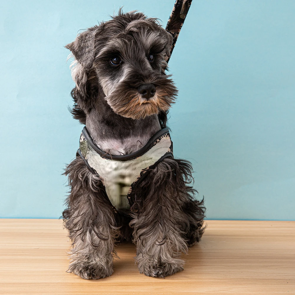 Imagem -05 - Conjunto Ajustável de Arnês e Trela para Cães Coleiras para Cães Pequenos e Médios Inclui Bolsa de Cocô