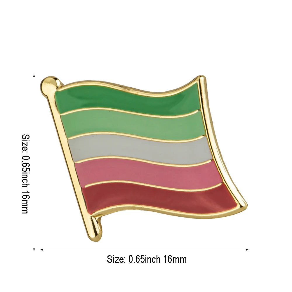 Abrosexual Pride Flag Metal Lapel Pin Flag Pin Badge