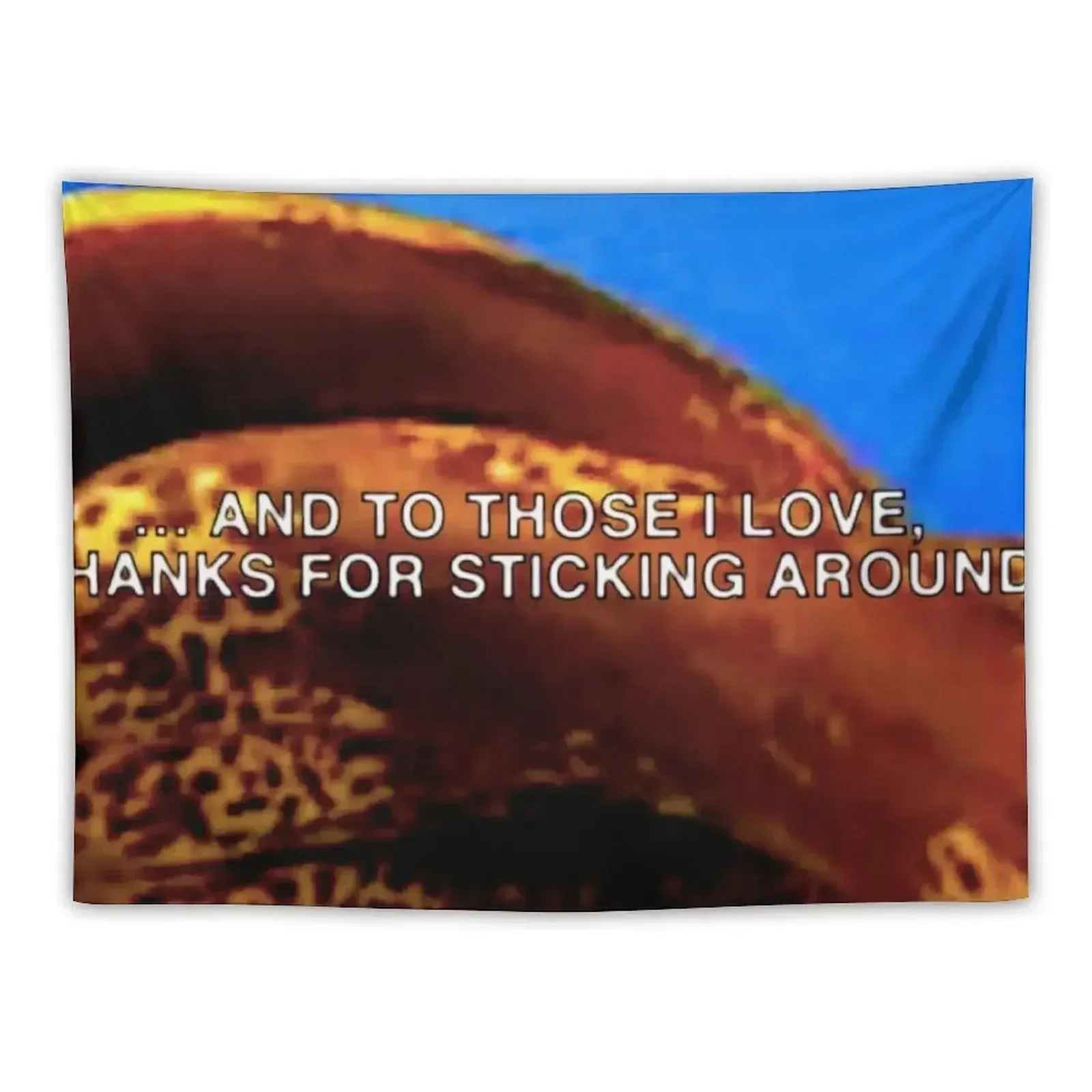 

AND TO THOSE I LOVE, THANKS FOR STICKING AROUND Tapestry Hanging Wall Decoration Aesthetic Tapestry