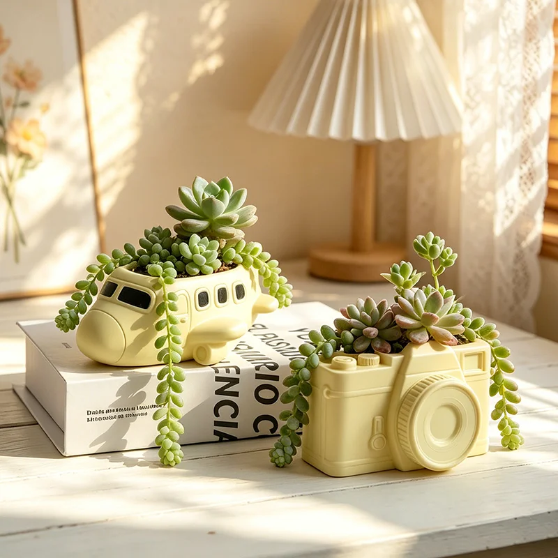 Novelty Airplane Resin Succule - đánh giá và giá Snake Plant Ceramic