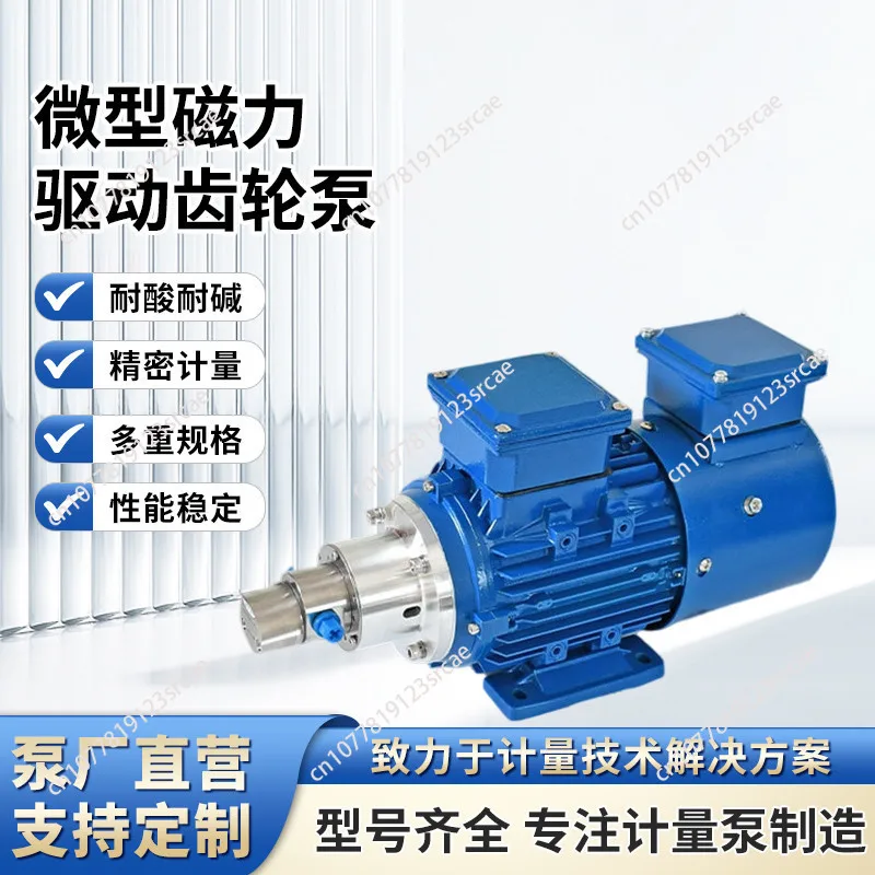 Stainless Steel SS316L Miniature Magnetic Pump 0.6ml/r Speed Variable Frequency 220v 380v AC Oil-free Pinion Pump