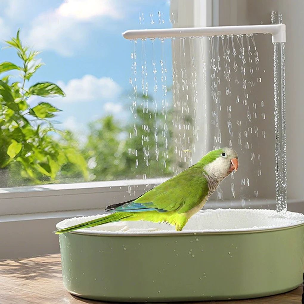 

Parrot S Grooming Routine With Automatic Bird Bathtub Shower Automatic Bird Bath Parrot Shower green