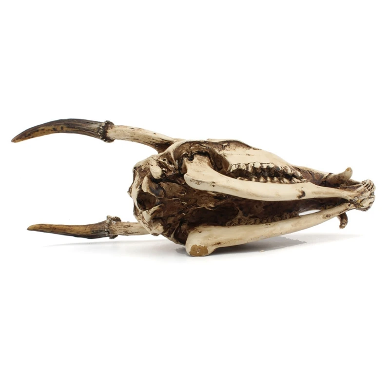 

Imitation Wild Goat Skull Desktop Ornaments Home Interior Decor for Creative Model for Home Indoor Desktop Art Drop shipping